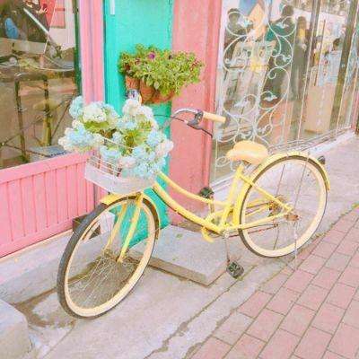 ag真人平台官方下载手机版