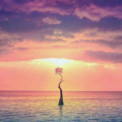 365平台下载app下载